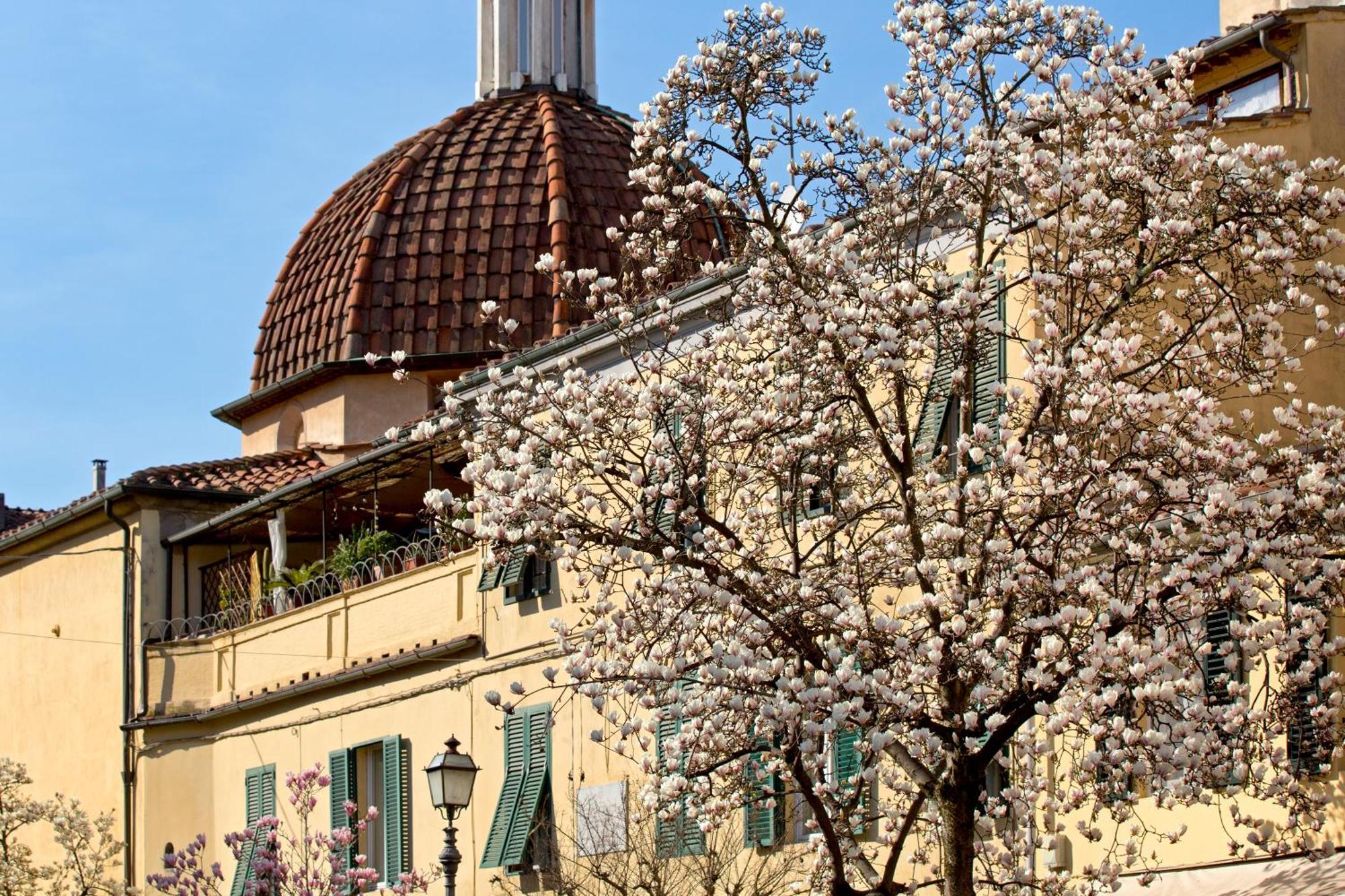 Casa San Girolamo Historic Flat With Cosy Terrace In Lucca'S City Centre Экстерьер фото